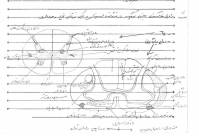 خلاصه ونکات مهم نوروآناتومی: آناتومی اعصاب: اسنل